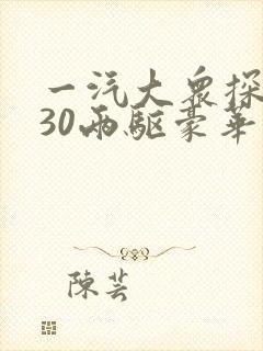一汽大众探岳330两驱豪华