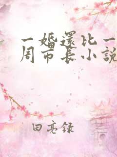 一婚还比一婚高周市长小说