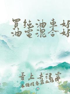 买纯油车好还是油电混合好