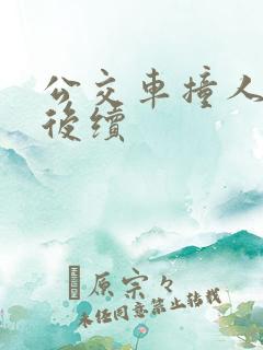 公交车撞人事件后续