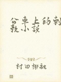 公车上的刺激调教小说