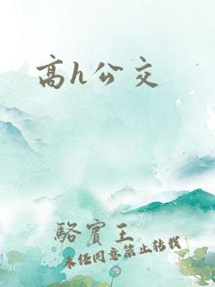 高h公交