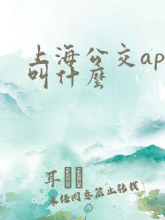 上海公交app叫什么