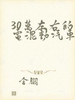 30万左右的油电混动汽车