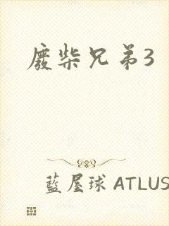 废柴兄弟3