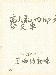 高h乱肉np文公交车