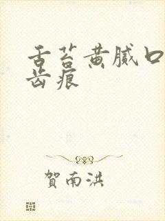 舌苔黄腻口苦有齿痕
