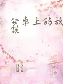 公车上的放荡小说