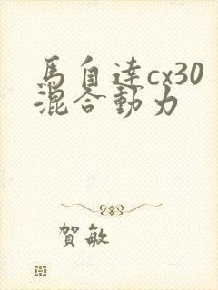 马自达cx30混合动力