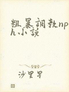 粗暴调教np高h小说