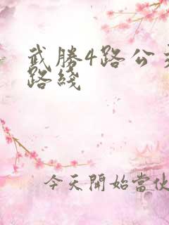 武胜4路公交车路线