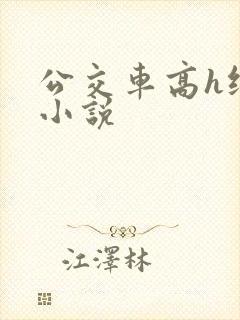 公交车高h纯肉小说
