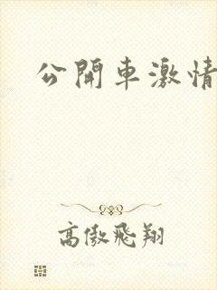 公开车激情小说