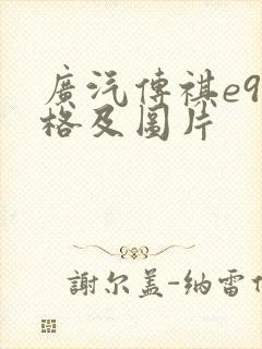 广汽传祺e9价格及图片