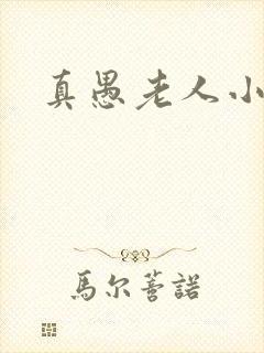 真愚老人小说
