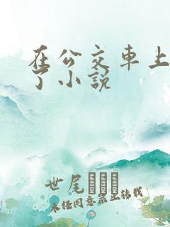 在公交车上被顶了小说