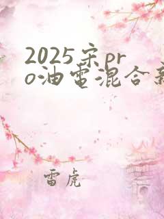 2025宋pro油电混合新款