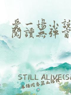 爱一场小说免费阅读无弹窗全文
