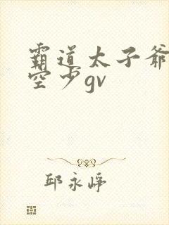 霸道太子爷调教空少gv