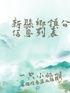 新县乡镇公交车信息列表