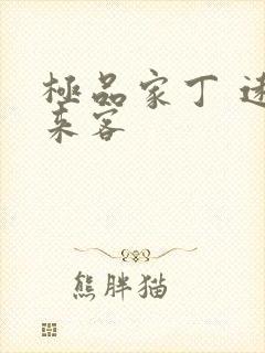 极品家丁 远方来客