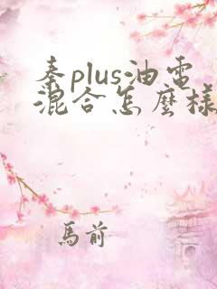 秦plus油电混合怎么样