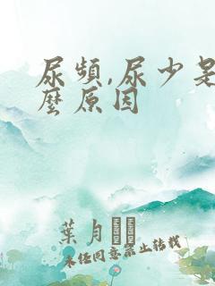 尿频,尿少是什么原因