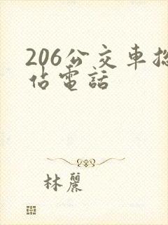 206公交车总站电话