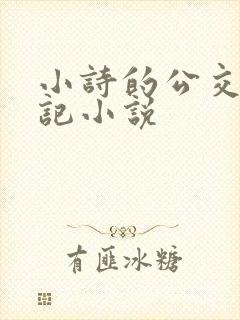 小诗的公交车日记小说