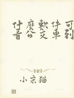 什么软件可以查看公交车到哪里