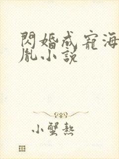 闪婚成宠海彤战胤小说