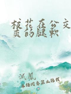 校花在公交车上爽的腿软