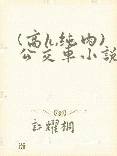 (高h,纯肉)公交车小说