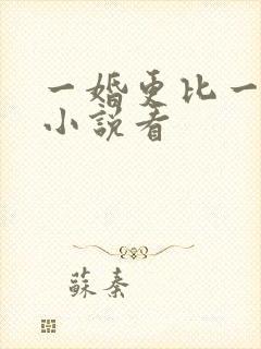 一婚更比一婚高小说看