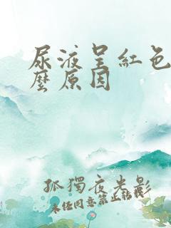 尿液呈红色是什么原因
