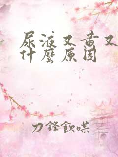 尿液又黄又骚是什么原因