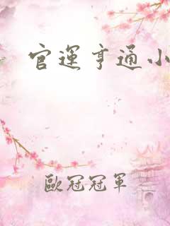 官运亨通小说