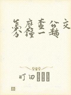怎么查公交车几分钟一趟