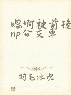 嗯啊被前后夹击np公交车