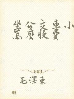 坐公交车小孩子怎么收费