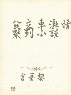 公交车激情肉欲系列小说