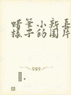 蜡笔小新长大的样子的图片