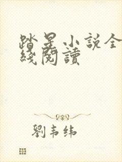 踏星小说全文在线阅读