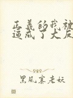正义的我被系统逼成了大反派小说