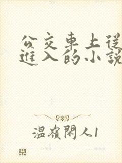 公交车上从后面进入的小说