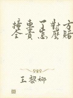 撞车了对方逃逸全责怎么赔