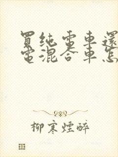 买纯电车还是油电混合车怎么选择