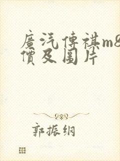 广汽传祺m8报价及图片