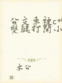 公交车被c呻吟双腿打开小说