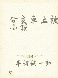 公交车上被摸了小说